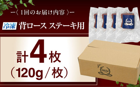 【全6回定期便】鹿肉 背ロース 4枚  ジビエ 赤身 冷凍配送 北海道 [AJAO038]