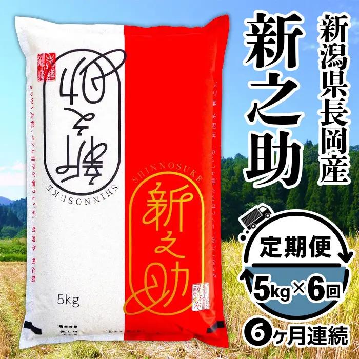 B7-8SK056【6ヶ月連続お届け】長岡産新之助5kg