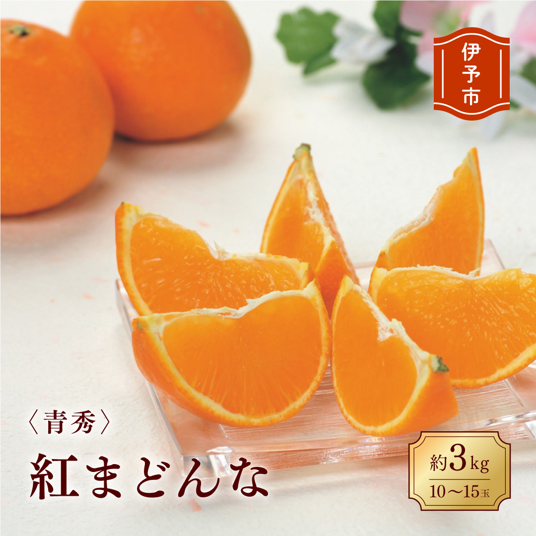 みかん 愛媛 紅まどんな 約3kg  L～3L（青秀）【2025年12月から順次発送予定】 人気 数量限定 先行予約 柑橘 JA正規品 化粧箱入り 国産 フルーツ 果物 フルーツギフト 贈答用 伊予市｜C27