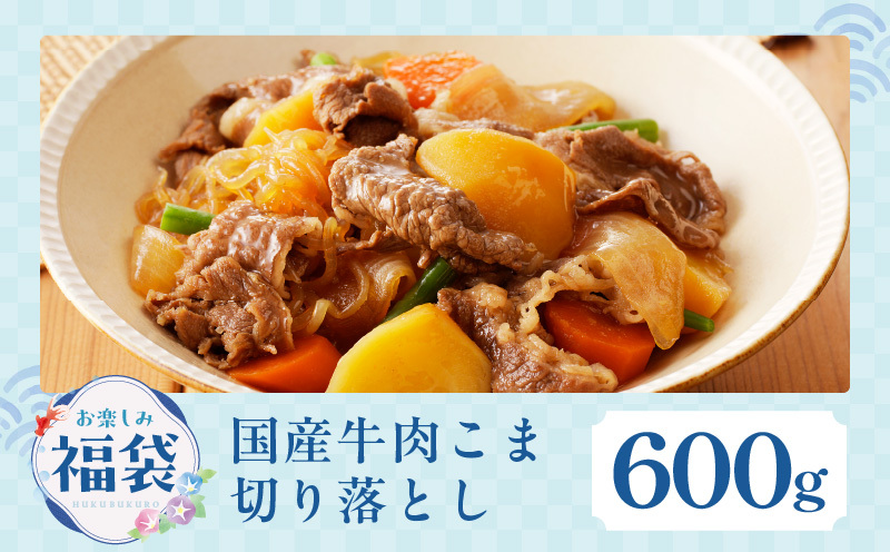 【お楽しみ】夏の福袋 4種 4kgセット（牛肉 切り落とし／牛ハラミ／豚肉 スペアリブ／鶏肉）【氷温熟成×極味付け 焼肉 焼くだけ 食べ比べ ふくぶくろ お楽しみ 簡単調理 期間限定】 mrz0141