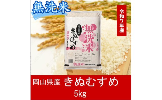 【最短２〜７営業日出荷】＜令和７年産＞ 岡山県産 きぬむすめ 無洗米 5kg ｜ 岡山 和気町 きぬむすめ 単一米 単一原料米 こめ 米 ごはん 送料無料 上-3