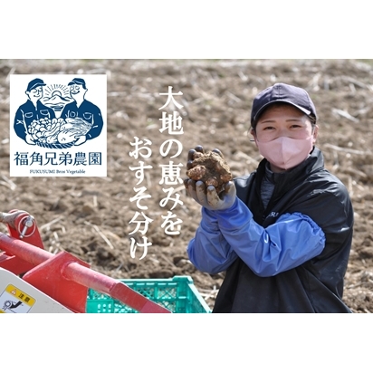 紫菊芋パウダー　150ｇ入　3袋　約90日分／菊芋　紫　薬草　腸活　水溶性食物繊維　イヌリン　朝食前　水　コーヒー　ヨーグルト　奈良県　宇陀市_イメージ4