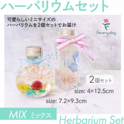 
            ハーバリウムセット MIX お祝いやお誕生日におすすめ【1636486】
          