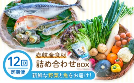 【全12回定期便】壱岐産食材詰め合わせBOX「野菜と魚」[JBF026] 詰め合わせ 野菜 卵 鮮魚 セット 492000 492000円 48万円 冷蔵配送