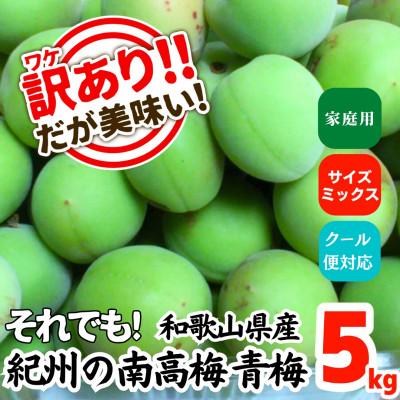 ふるさと納税 有田川町 青梅 南高梅 約5kg 訳あり サイズミックス 和歌山県産 B品