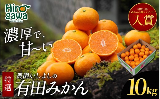 有田 みかん 特選 10kg 【 創業120年 農家直送 】 / 温州みかん 有田みかん 甘い 高級 和歌山 柑橘 ※2026年11月中旬～2027年1月下旬に順次発送 【isy004-r-10B】