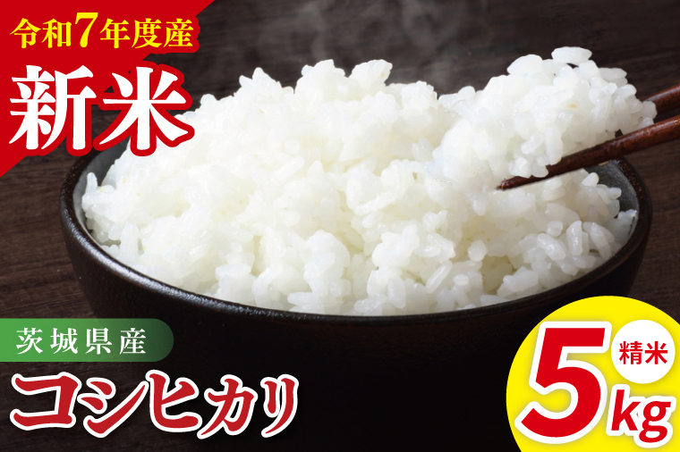 茨城県産コシヒカリ　精米　5kg｜精米 定期便 お米 米 こめ コメ ごはん 白米 阿見町 茨城県 茨城県産 茨城県産米 安心 安全 送料無料 国産 人気 数量限定 高評価（85-11）