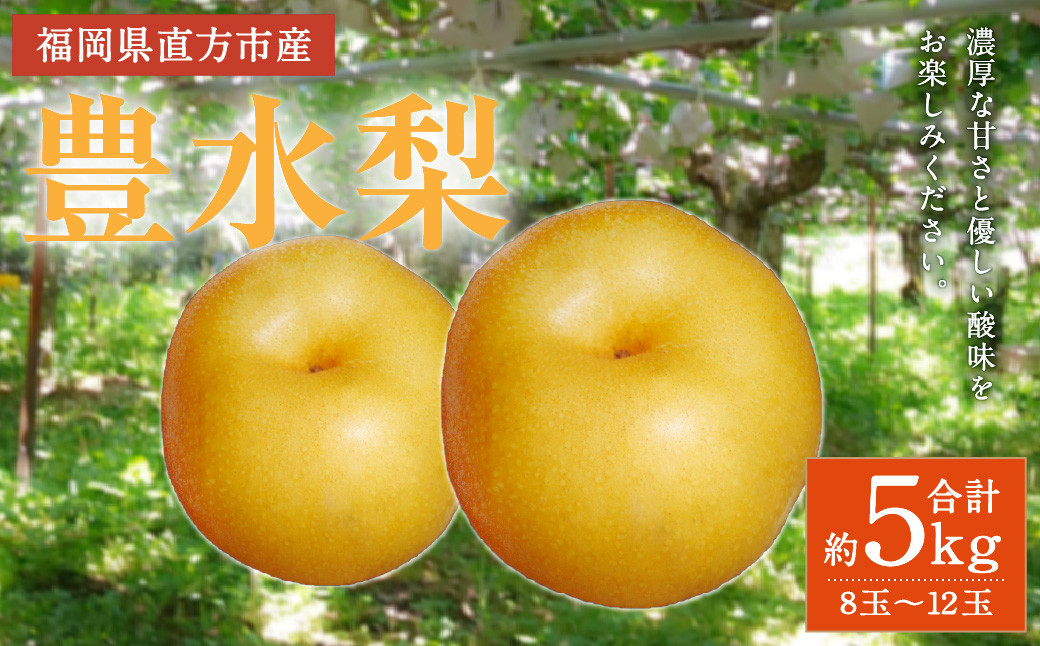 
                  【2023年8月下旬より順次発送】豊水 梨 約5kg (8～12玉)
                