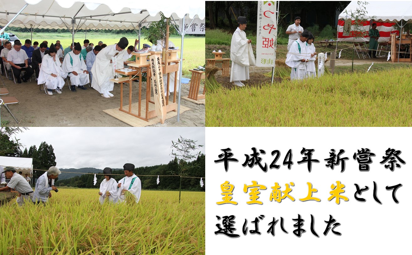 【令和7年産新米】はえぬき５㎏（5kg✕1袋）　安心安全なおぐに木酢米　～新嘗祭献穀農家の米～