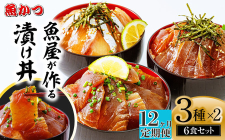 【12ヶ月 定期便】漬け丼 3種×2パック 計6食セット 漬け丼 漬け丼 漬け丼 漬け丼 定期便