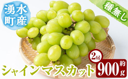 
            y417 ≪期間限定！2025年8月中旬以降順次発送≫ シャインマスカット(約900g・2房) 国産 九州産 鹿児島産 シャインマスカット マスカット 葡萄 ぶどう ブドウ 果物 くだもの フルーツ 贈答 贈り物 ギフト プレゼント 旬 【大倉野 隆】
          