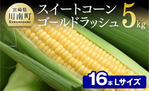 【令和7年発送】朝どれ！守部さんちのゴールドラッシュ (L)5kg) 【とうもろこし スイートコーン 野菜 】[D06407]