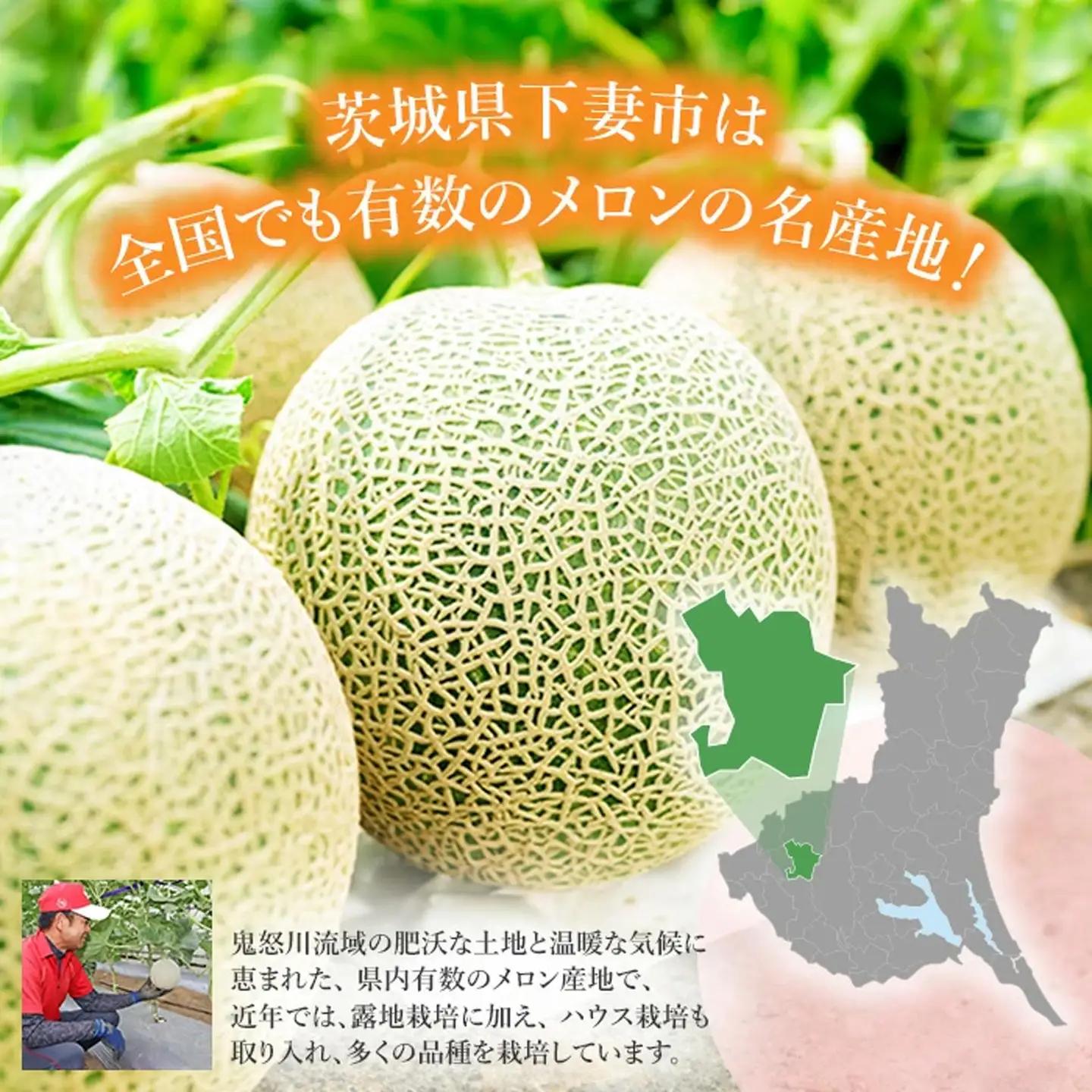メロン 赤肉 茨城県産 R8年産 アールスメロン 約7.5kg 3～6個