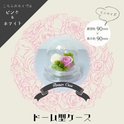 ふるさと納税 美浜町 ブリザーブドフラワードーム型 ピンク×ホワイト |  | 01