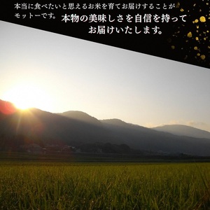 自然栽培米 にこまる 玄米 定期便 10kg×3回