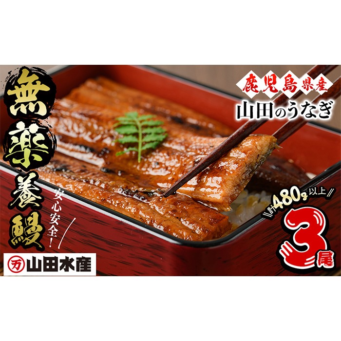 【無薬養鰻】 鹿児島産 山田のうなぎ ＜計480g以上＞（160g以上×3尾）a6-062