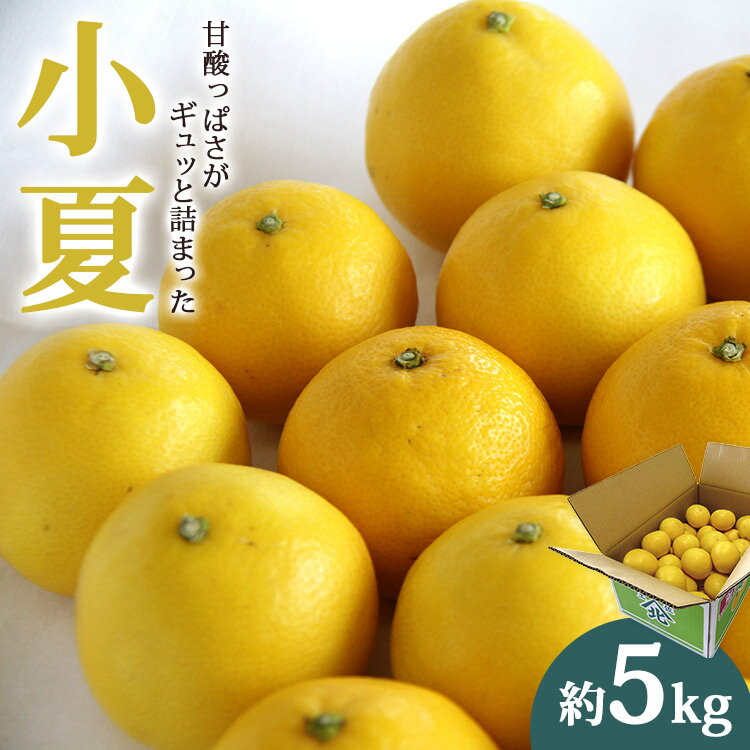 【ふるさと納税】【先行予約】小夏（日向夏）約5kg - 2026年3月より順次配送 果物 柑橘 フルーツ くだもの ひゅうがなつ ニューサマーオレンジ 甘酸っぱさがギュッと詰まった 期間限定 のし対応可 送料無料 高知県 香南市【常温】