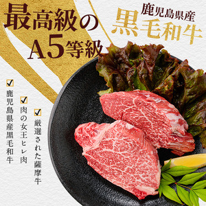 ヒレステーキ A5等級 黒毛和牛 薩摩牛 極 ヒレステーキ 300g IB112-018