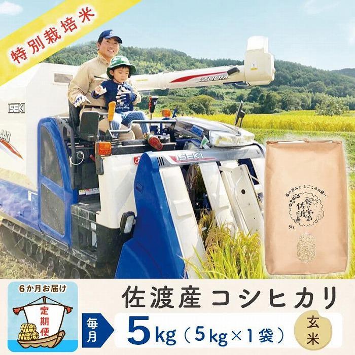【ふるさと納税】【新米予約 6か月定期便】佐渡島産コシヒカリ 玄米5Kg 令和7年 特別栽培米 農家直送 | お米 こめ 白米 食品 人気 おすすめ 送料無料