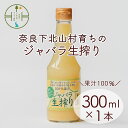 【ふるさと納税】先行予約 2024年 11月～発送 奈良下北山村 じゃばら生搾り 300mlx1本 じゃばら果汁100％ 柑橘 奈良下北山村育ちのジャバラ