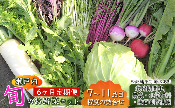 
                  6ヶ月 定期便 瀬戸内 「旬」 のお野菜セット 7～11品目程度の詰合せ 野菜 農薬 化学肥料 除草剤不使用 岡山 M’s farm [№5735-1727]
                