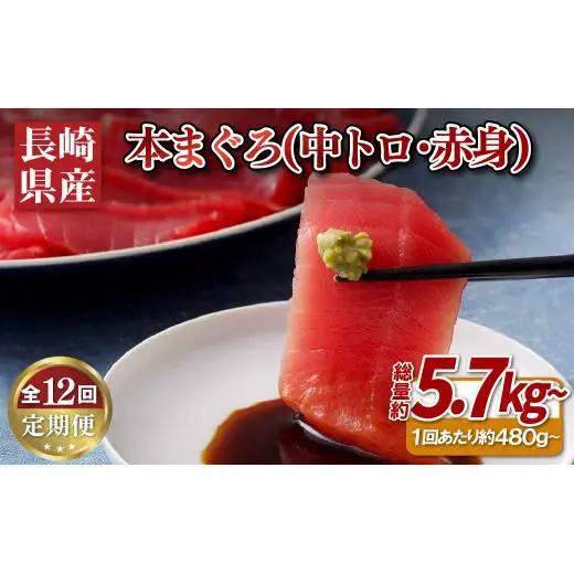 《定期便》長崎県産本まぐろ(中トロ･赤身)480g以上【12回お届け】