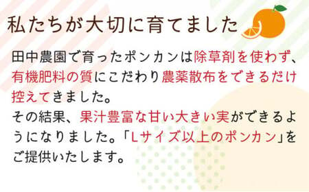 【先行予約】訳ありポンカン 3kg（L~3Lサイズ） 国産 東洋町産 訳あり 甘酸っぱい ジューシー 蜜柑 ミカン 高知県 東洋町 四国 お取り寄せ フルーツ 果物 送料無料 TA11 【田中農園】