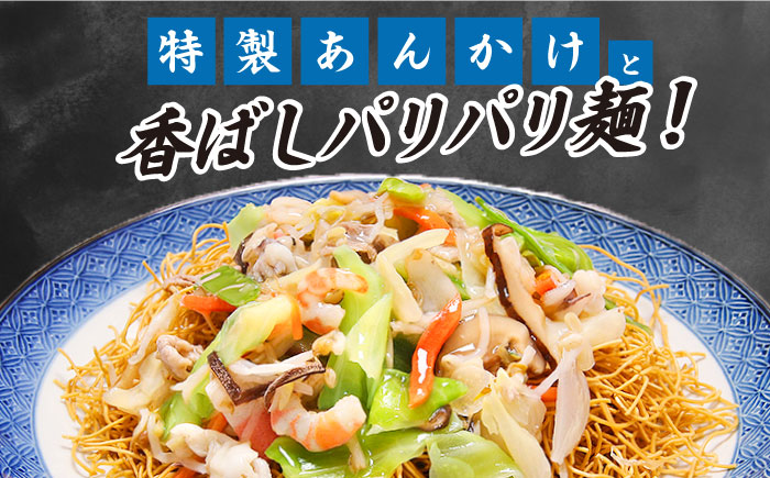 【6回定期便】冷凍 長崎ちゃんぽん 皿うどん セット 4食 （ちゃんぽん1食×2、皿うどん1食×2）/ ちゃんぽん チャンポン さらうどん 皿ウドン 長崎 スープ付き 麺 具入り / 南島原市 / 狩