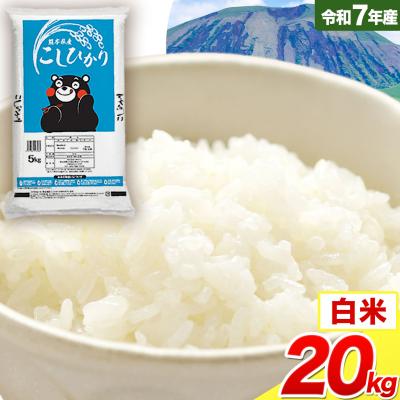 ふるさと納税 南阿蘇村 令和7年産 こしひかり 白米  20kg 白米 《7-14日以内に出荷予定(土日祝除く)》