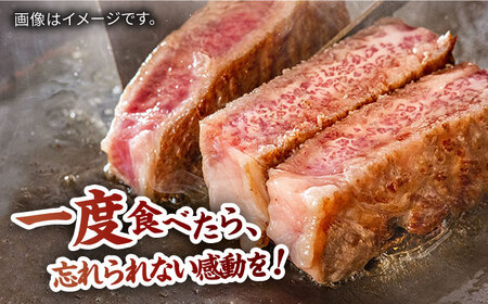 佐賀牛 厚切り サーロインステーキ 計400g（200g×2枚） / 佐賀県 / 株式会社弥川畜産 [41ADCI003]