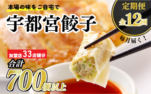 
【12ヶ月定期便】宇都宮餃子　32店舗定期便　計700個以上 ｜ ぎょうざ 冷凍餃子 冷凍食品 惣菜 栃木県 宇都宮市
※着日指定不可
