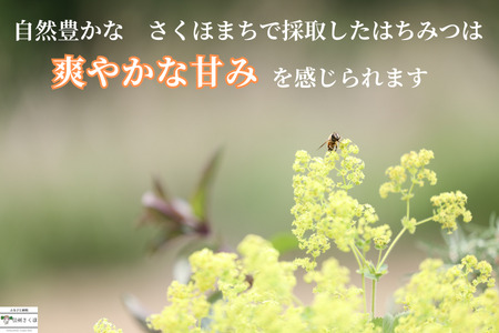 信州特産！！「国産純粋　天然はちみつ　アカシア」〔YY-01〕