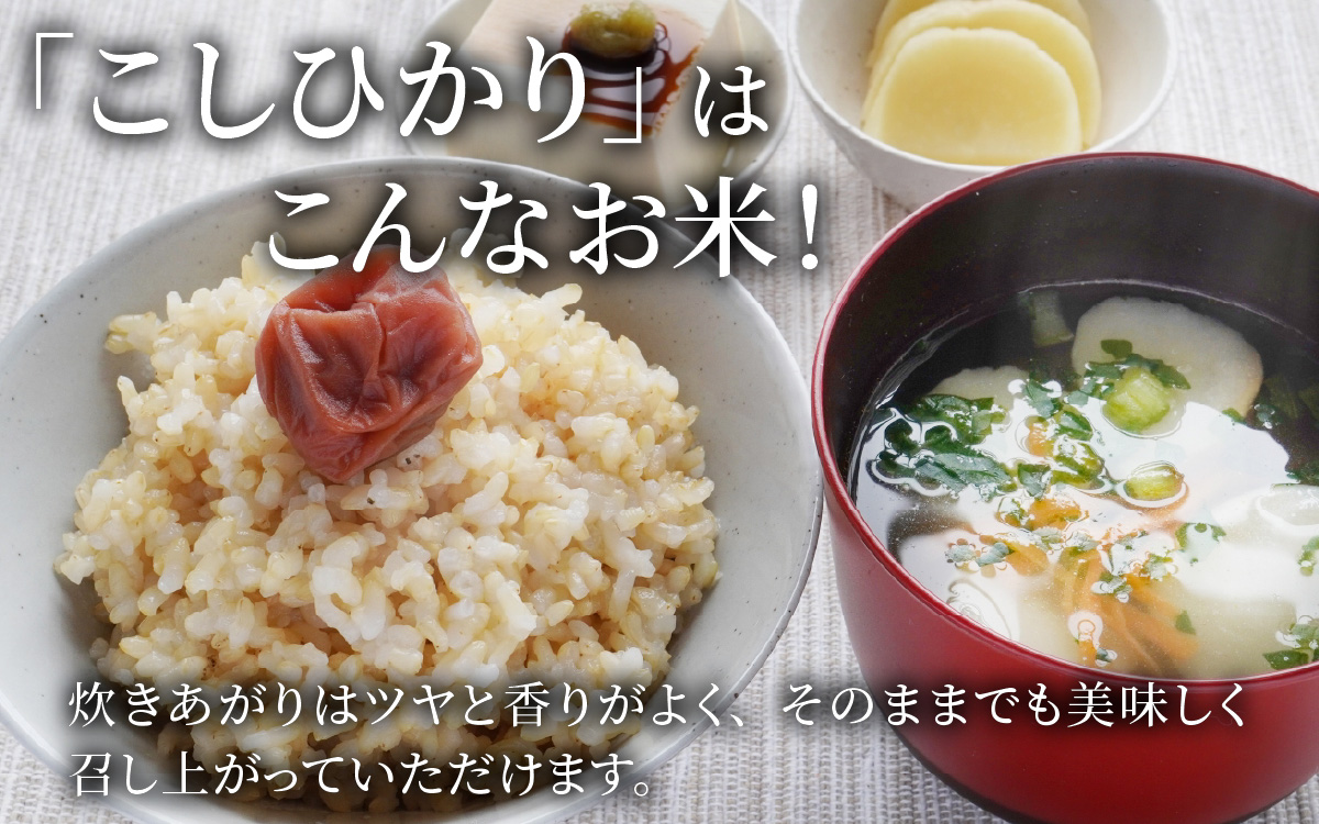 【令和8年産】【有機JAS認証米】南さんちのこしひかり 10kg（5㎏×2袋）＜玄米＞ ※2026年9月下旬以降順次発送予定 [C-075002]