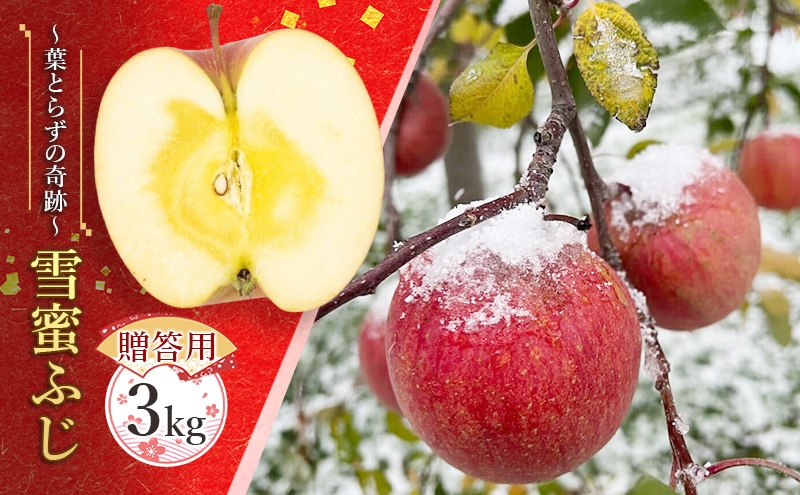 
                  蜜入り14度糖度保障【贈答用】雪蜜ふじ～葉とらずの奇跡～約3kg【青森りんご・マルコウアップル】果物類 フルーツ 林檎 リンゴ 板柳町 青森県 おやつ デザート
                