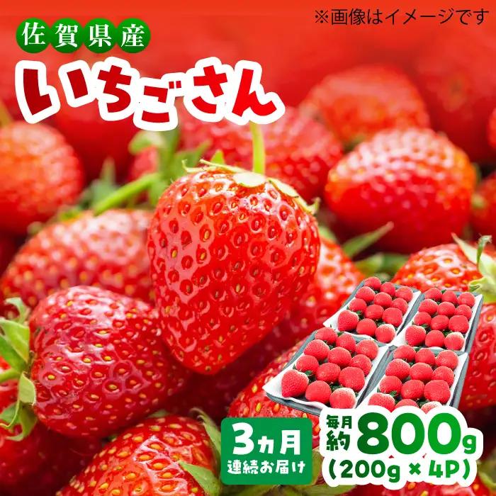 【1月から3月発送】【3回定期便】いちごさん 約800g（約200g×4P）いちご イチゴ 苺[FDF002]
