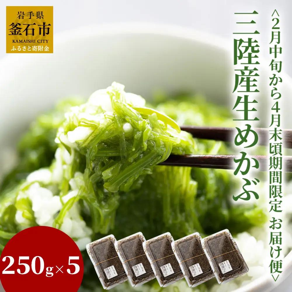 fn-39-012 三陸産生めかぶ【2月中旬から４月末頃お届け便】 ヤマキイチ商店