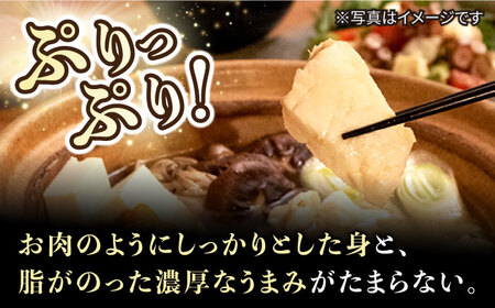 【数量限定】【訳あり】天然クエ鍋セット 切り身約300g しゃぶしゃぶ用約200g ＜大瀬戸町漁業協同組合＞ [CAR006]