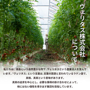 【先行予約】 トマト ミニトマト 750g （ 250g × 3袋 ） フランティーノ アマイマリー チコ 小分け トマト トマト トマト