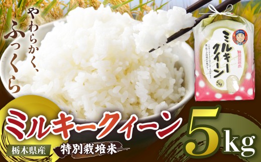 【定期便3回】栃木県矢板市産 ミルキークイーン 5kg 特別栽培米 【先行予約】新米  |  栃木県 矢板市