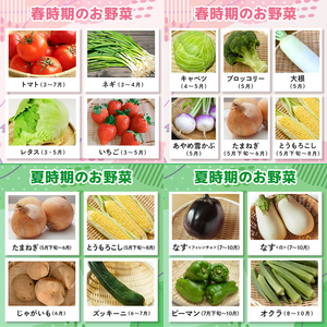 野菜セット 季節の奥久慈野菜 詰め合せセット（春、夏、秋、冬） 特産 詰め合わせ 旬 直送 【野菜セット】【ho1483】
