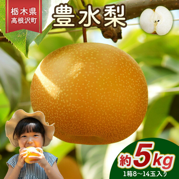 【ふるさと納税】高根沢町産 豊水梨 約5kg（8～14玉）送料無料 ※2025年9月上旬～9月下旬頃に順次発送予定 ※北海道・沖縄・離島への配送不可