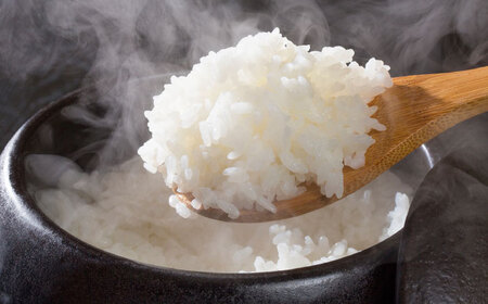 【令和6年産】果物屋さんが選んだ米 元気つくし 5kg 《築上町》【南国フルーツ株式会社】米 白米 お米 ブランド米[ABET010]