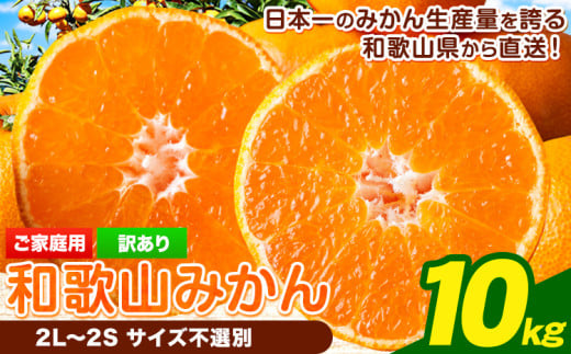 【先行予約】【訳あり/サイズ不選別】 和歌山みかん 約10kg 和歌山県産 《2025年11月中旬-1月中旬頃出荷》たっぷり ご家庭用 2L～2S 産地直送 みかん 旬 蜜柑 ミカン 柑橘 果物 フルーツ 和歌山県 岩出市 