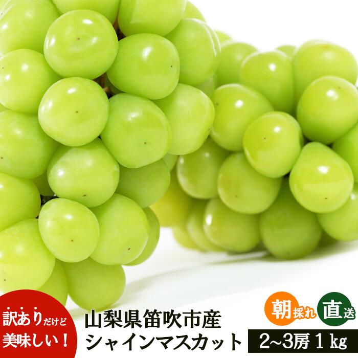 【ふるさと納税】＜25年発送先行予約＞【訳あり】 シャインマスカット 2～3房 約1kg 154-027 | 不揃い ご自宅用 ご家庭用 フルーツ 果物 高評価 人気 ランキング おすすめ 甘い 美味しい デザート 数量限定 送料無料 山梨県産 笛吹市 ぶどう 「販売」 KEIPE株式会社