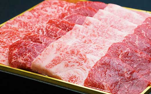 宮崎牛 切り落とし 霜降り ＆ 赤身 焼肉セット 700g カルビ モモ ウデ 赤身 国産牛 牛肉 お肉 冷凍 焼肉 焼き肉 BBQ バーベキュー 鉄板 ホットプレート ギフト 贈答用 贈り物 特別な