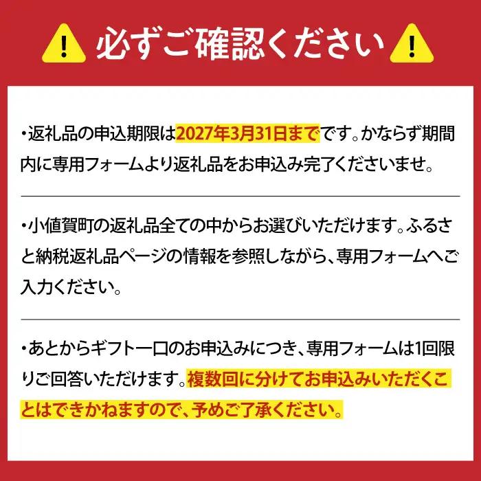 【あとから選べる】町 ふるさとギフト 30万円分 先に寄附 30万円 300000円 長崎県  [DYZ012]
