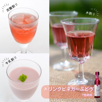 飲む酢のイメージを変える!ドリンクビネガー3本セット(ぶどう・ゆず・生姜)　[飲むワインビネガー]【1282614】