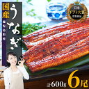 【ふるさと納税】うなぎ 総合ランキング 上位 獲得 鰻 長蒲焼 6尾 600g | ふるさと納税 うなぎ 高級 ウナギ 鰻 国産 蒲焼 蒲焼き たれ 鹿児島 大隅 大崎町 ふるさと 人気 送料無料