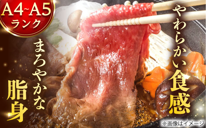長崎和牛 和牛 国産 牛肉 