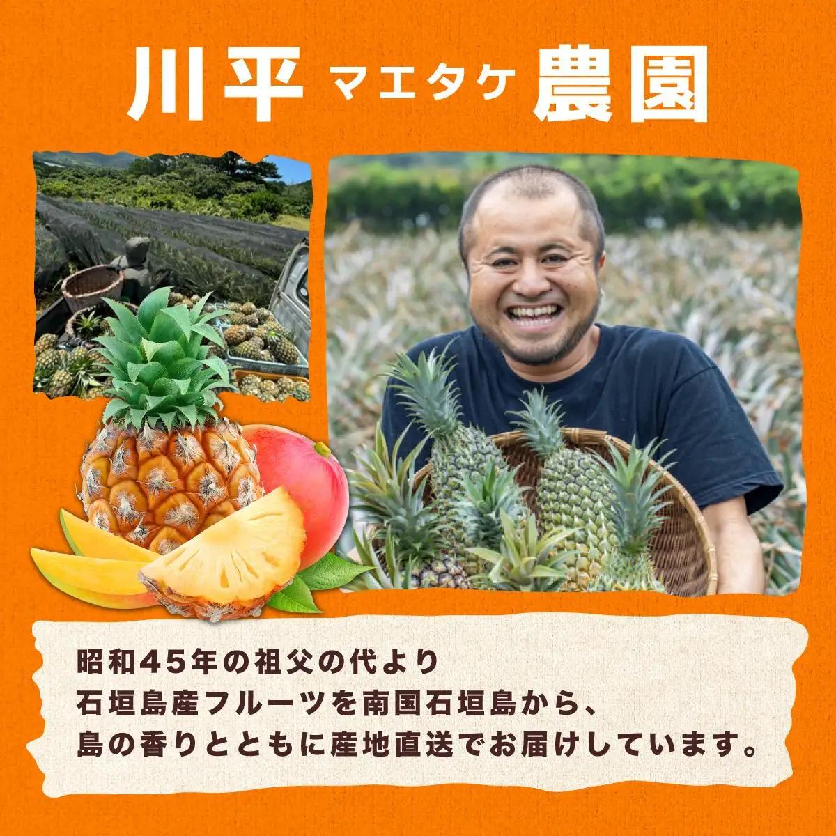 川平パイン お徳用訳あり4kg 　KN-6
